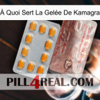 À Quoi Sert La Gelée De Kamagra new13